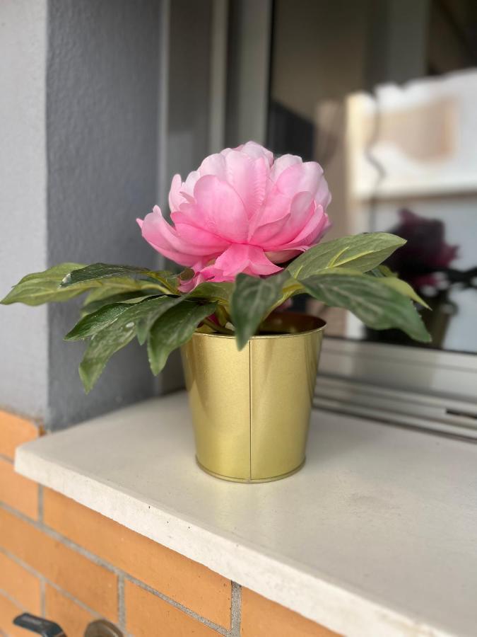 Love Rent4 Malaga Armengual Zewnętrze zdjęcie